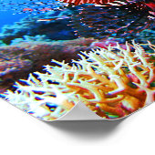 美しい熱帯ライオンフィッシュ ポスター (角)