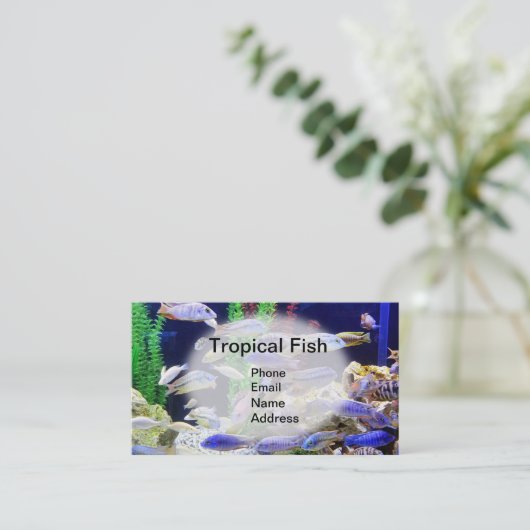 美しい熱帯魚が付いているアクアリウム 名刺 (スタンド正面)