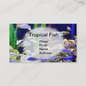 美しい熱帯魚が付いているアクアリウム 名刺 (正面)