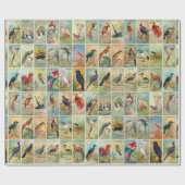 美しい熱帯鳥19世紀イラストレーション ラッピングペーパー (フラット)