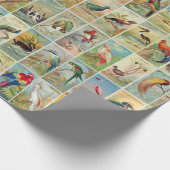 美しい熱帯鳥19世紀イラストレーション ラッピングペーパー (角)