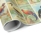 美しい熱帯鳥19世紀イラストレーション ラッピングペーパー (ロールコーナー)
