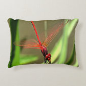 美しい爆竹ドラゴンフライ絵画アクリル アクセントクッション (正面)