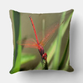 美しい爆竹ドラゴンフライ絵画アクリル クッション (裏面)