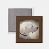 美しい犬のプロフィール写真 マグネット (正面/裏面)