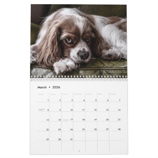 美しい犬の写真 カレンダー (3月 2026)