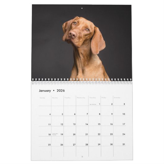 美しい犬の写真 カレンダー (1月 2026)