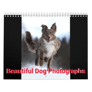 美しい犬の写真 カレンダー