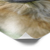 美しい犬 フォトプリント            (角)