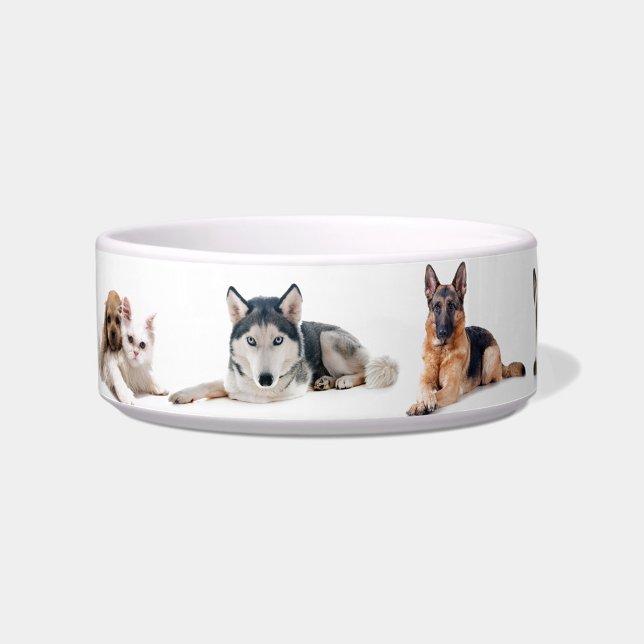 美しい犬 ボウル ("Cute Pet Portrait Bowl")