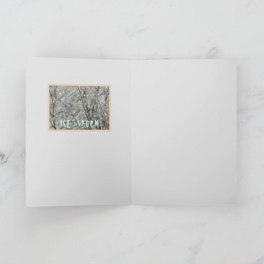 美しい状の氷の嵐/宝石のような輝きカラフル カード (内部)