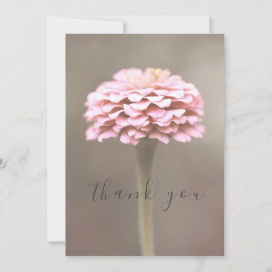 美しい独身のピンクの花フラットサンキューカード サンキューカード (正面)