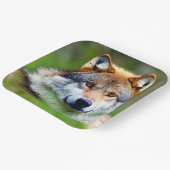 美しい狼の絵画頭 ペーパープレート (傾斜あり)