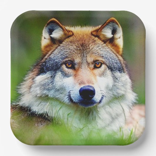 美しい狼の絵画頭 ペーパープレート (正面)