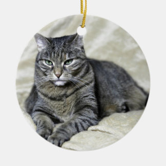 美しい猫が暮らす セラミックオーナメント