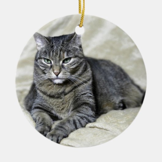 美しい猫が暮らす セラミックオーナメント (正面)