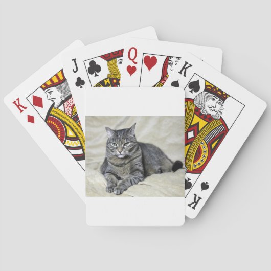 美しい猫が横たわっている トランプ (裏面)