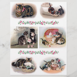 美しい猫と子猫のイラストH.マグワイア