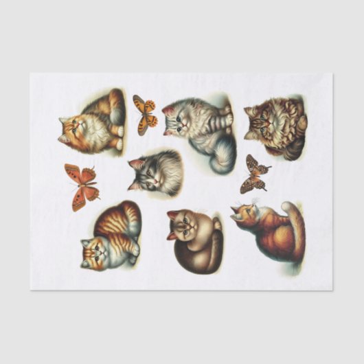 美しい猫と蝶の房状の切り口 薄葉紙 (正面)