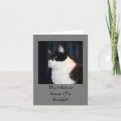 美しい猫のノート カード (正面)