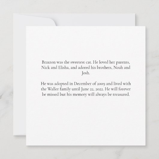 美しい猫のメモリアル カスタムペット写真の記念品 カード (裏面)