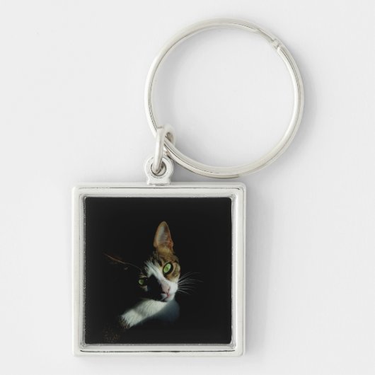 美しい猫の写真 キーホルダー (正面)