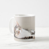 美しい猫の友人猫好きの写真マグ コーヒーマグカップ (正面左)