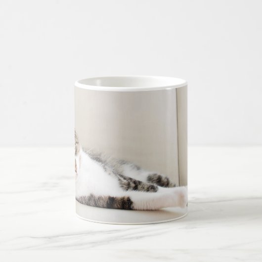 美しい猫の友人猫好きの写真マグ コーヒーマグカップ (中央)