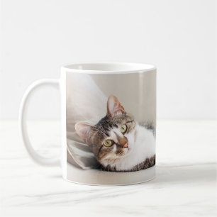 美しい猫の友人猫好きの写真マグ コーヒーマグカップ