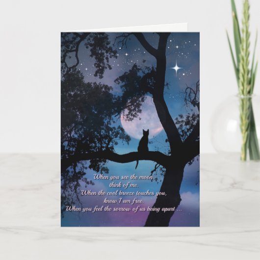 美しい猫の詩の悔やみや弔慰カード カード (正面)