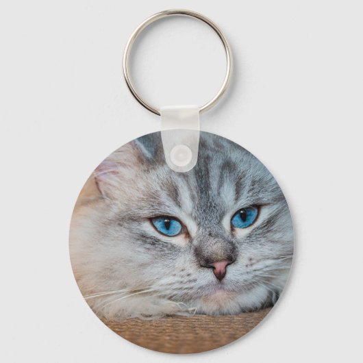 美しい猫の青い目 キーホルダー (正面)