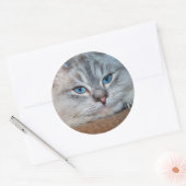 美しい猫の青い目 ラウンドシール (封筒)