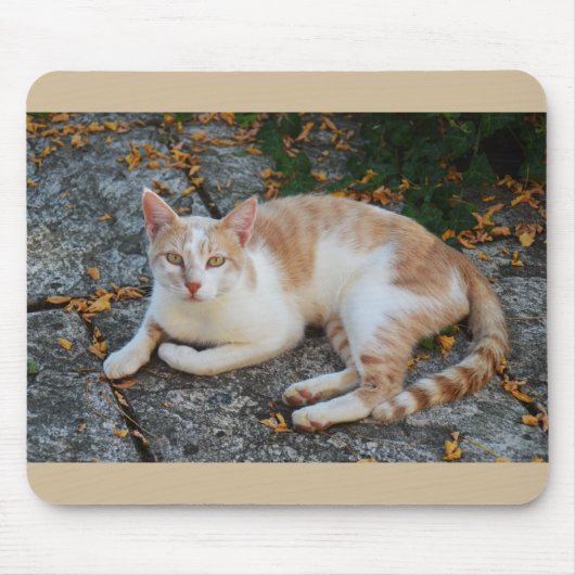 美しい猫は幸運だ マウスパッド (正面)