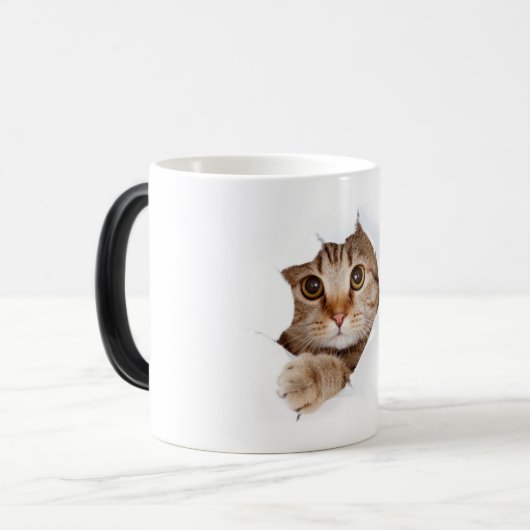 美しい猫コーヒーマグカップ不機嫌な子猫 モーフィングマグカップ (正面左)