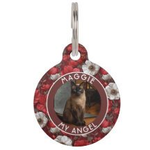 美しい猫パパへのギフト アネモネの花