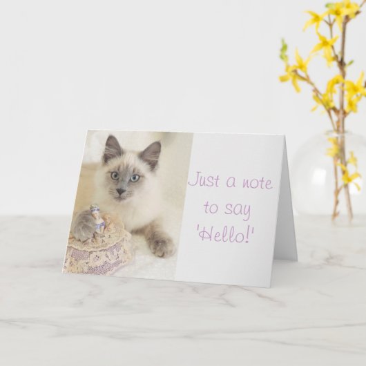 美しい猫挨拶するちょうどノートカード カード (黄色い花)