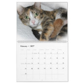 美しい猫科の動物 カレンダー (2月 2027)