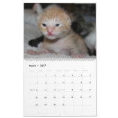 美しい猫科の動物 カレンダー (3月 2027)