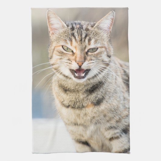 美しい猫 キッチンタオル (縦)