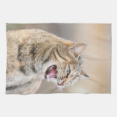 美しい猫 キッチンタオル (横)