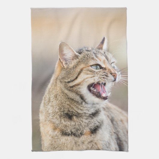 美しい猫 キッチンタオル (縦)