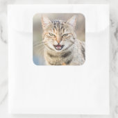 美しい猫 スクエアシール (バッグ)