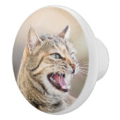 美しい猫 セラミックノブ (右)