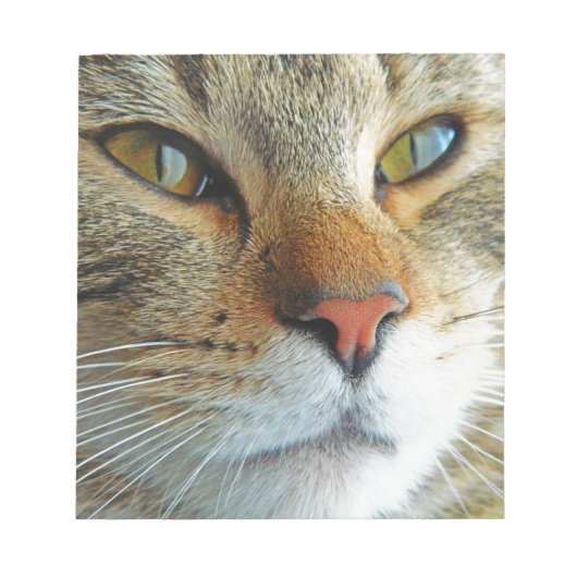 美しい猫 ノートパッド (正面)