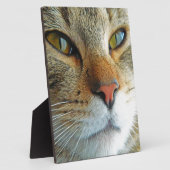 美しい猫 フォトプラーク (側面)