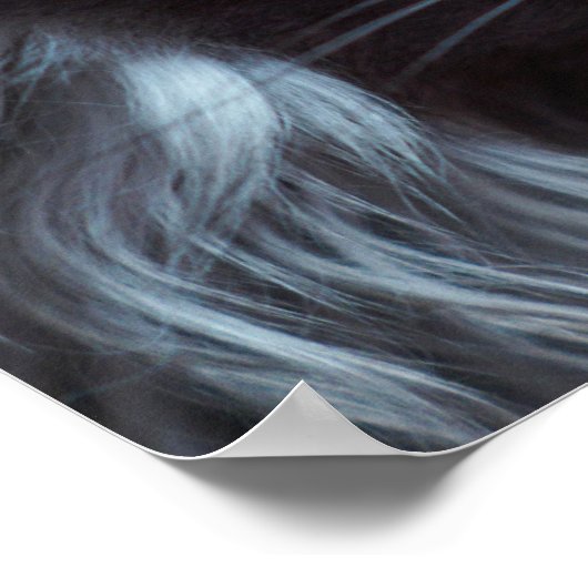 美しい猫 ポスター (角)