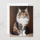 美しい猫 ポストカード (正面/裏面)