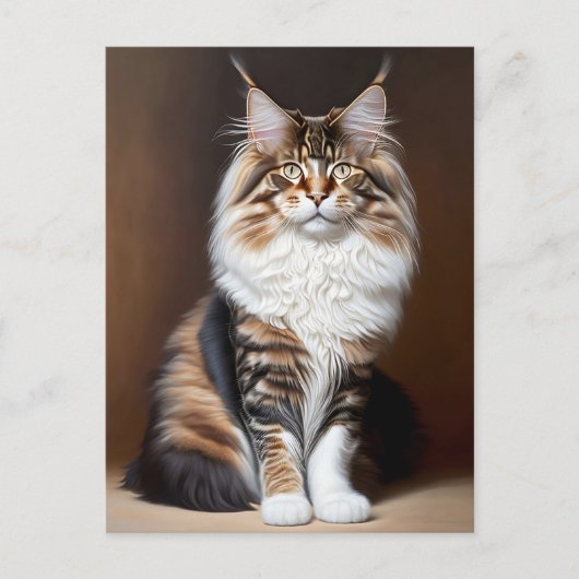 美しい猫 ポストカード (正面)