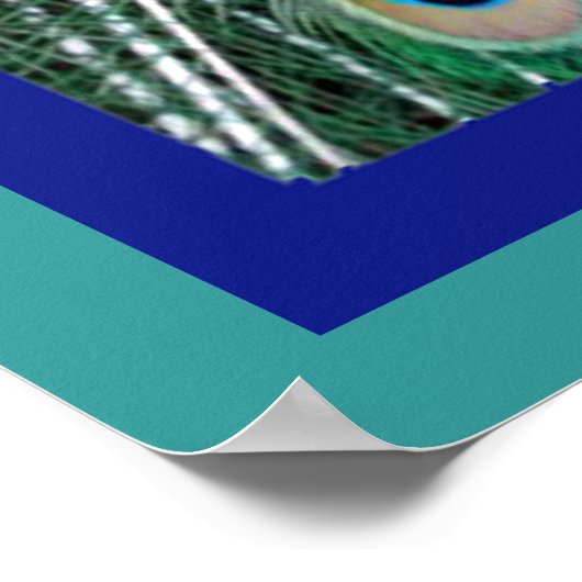 美しい王室の孔雀の写真ポスター ポスター (角)