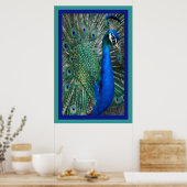 美しい王室の孔雀の写真ポスター ポスター (キッチン)